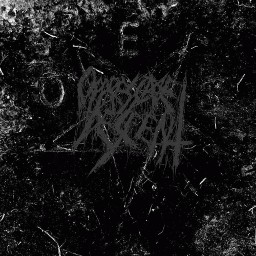 Oppressive Descent : Within the Horrific Vault